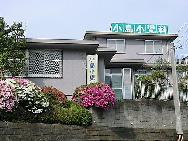 小島小児科医院まで676m、小児科・アレルギー科　休診日：木・日・祝　予防接種、乳児健診（予約制）、育児相談可