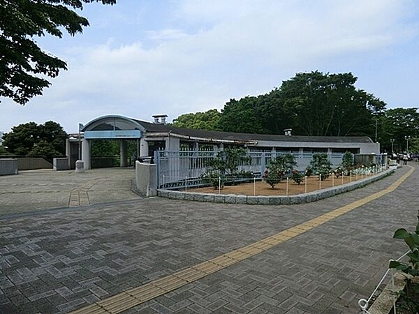 根岸森林公園まで1078m、なだらかな敷地いっぱいに広がる芝生広場。多彩な樹木による四季折々の景観も素晴らしく桜の季節は壮大で美しい景観が拡がります