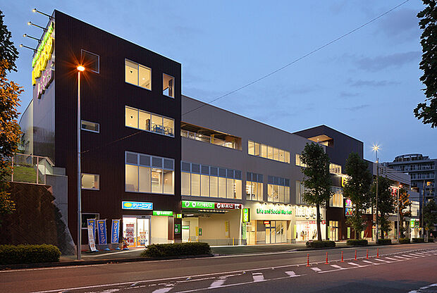 いなげや新ゆりヨネッティー王禅寺前店まで1528m、営業時間 9時30から21時00まで 駐車場 226台