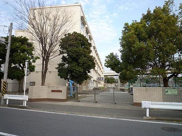 横浜市立本牧南小学校まで856m