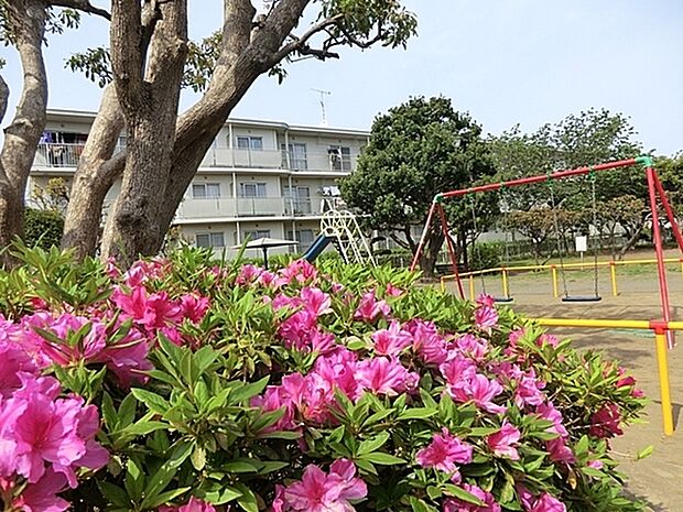 松が丘第二公園まで261m、遊具はすべり台と鉄棒、お砂場、ブランコなどを設置。