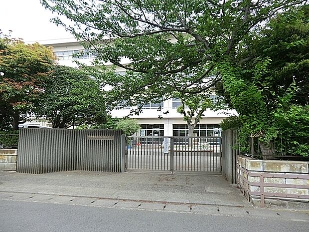 鎌倉市立七里ガ浜小学校まで1205m