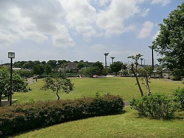 新杉田公園まで826m、遠足、校外学習のほか、お年寄りや親子連れの散歩がほぼ毎日あり、芝生広場、四阿、遊具の利用が多いのが特徴です。