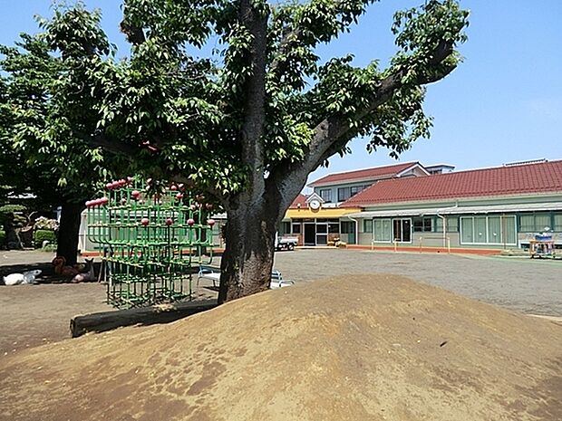 くるみ保育園まで739m、心に太陽をくちびるに歌を　を、モットーに歩み続けて50余年。子どもと保育士が一緒になっていつも楽しく遊び学びます。