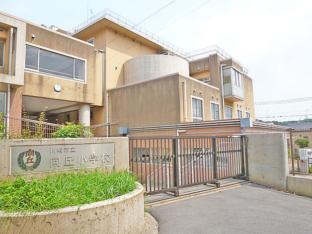 川崎市立向丘小学校まで894m
