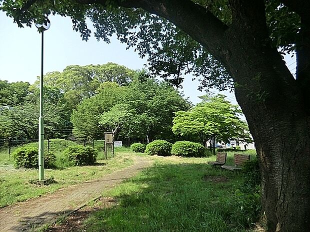 五所塚第一公園まで599m、大きな樹の下のベンチには木陰が出来て一休みするのにちょうどいいです。ベビーカーも入れます。