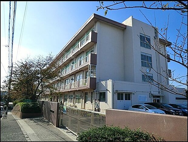 横浜市立芹が谷南小学校まで478m