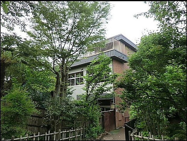 安部幼稚園まで499m、3千5百坪の園地には、「雑木の森」や「ヤギ牧場」や「畑」があり、子どもたちは四季を楽しみながら、園生活をすごしています。