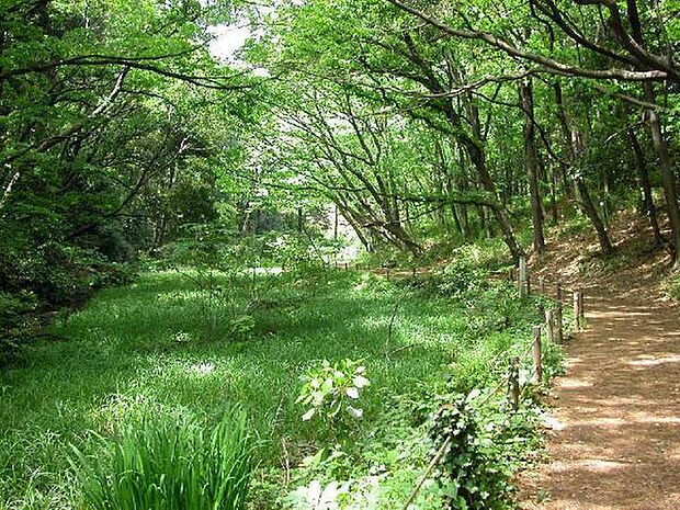 上和田野鳥の森まで1615m