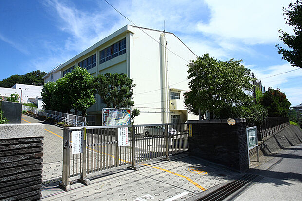 横浜市立藤が丘小学校まで585m