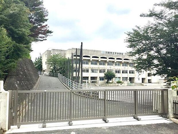 川崎市立平中学校まで881m