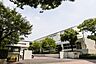 周辺：横浜市立茅ケ崎中学校まで445m
