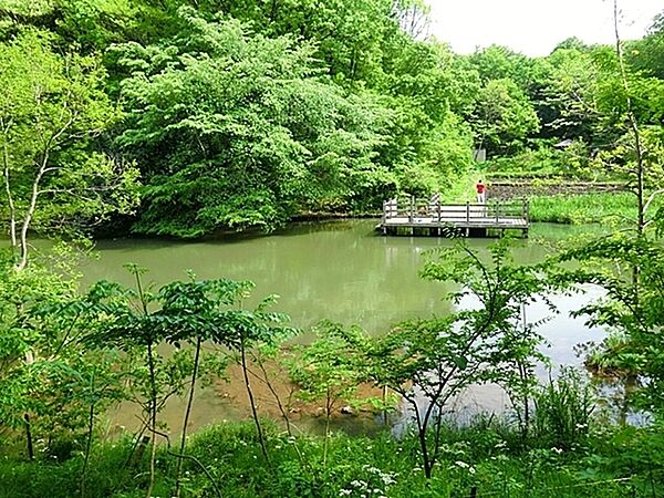 茅ヶ崎公園まで605m、芝生広場、池・せせらぎ、樹林地、自然生態園というそれぞれ特色あるエリアがあり、散策や自然観察を楽しむことができます。