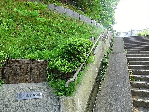 榎が丘第二公園まで894m、榎が丘の高台に位置しています。ほとんど樹木で被われていて木製の階段を登り、山道を歩くような感じで散策することができます。
