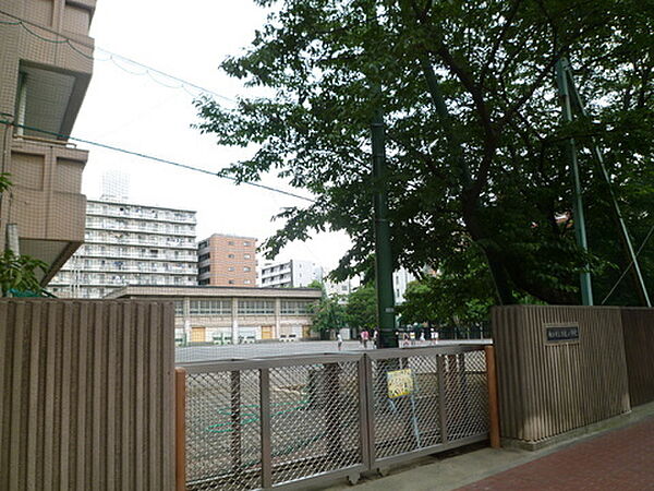 横浜市立日枝小学校まで511m