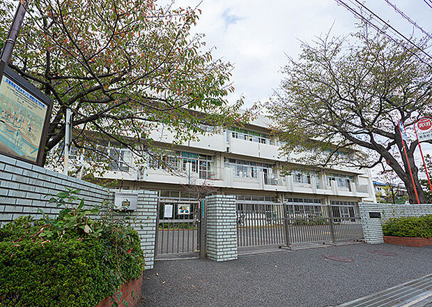 横浜市立いぶき野小学校まで593m