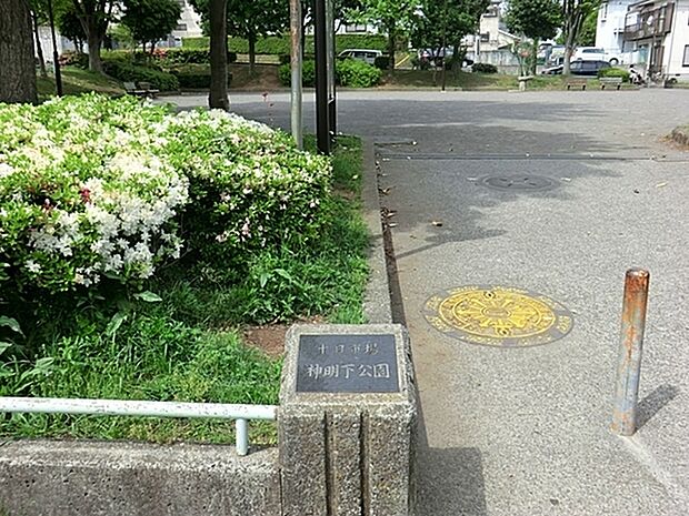 十日市場神明下公園まで470m、公園内の柿の木は、古くから町の象徴として親しまれる樹木として名木古木に指定されています。