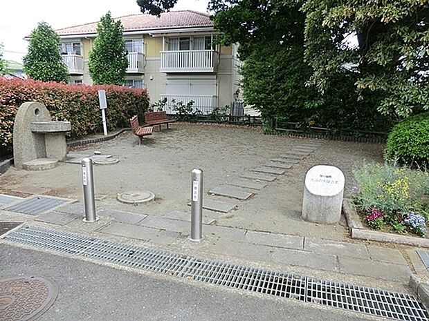 西川島町たぶの木陰公園まで976m、鶴ケ峰駅下車徒歩7分。園内には樹齢300年以上のタブノキがどっしりと構えています。「神奈川の銘木百選」の一つです。