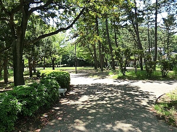 富岡八幡公園まで426m、とても広く芝生がきれいです。芝生もちゃんと整備されています。