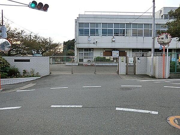 横浜市立瀬ケ崎小学校まで137m