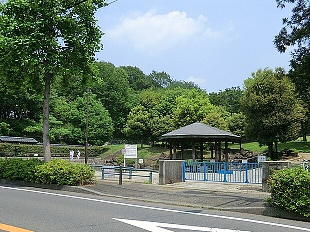 王禅寺ふるさと公園まで1071m、多目的広場、芝生広場、遠見の広場、多摩川をイメージした流れ、自然林を生かした散策道、富士山を眺望できる展望広場等がある。