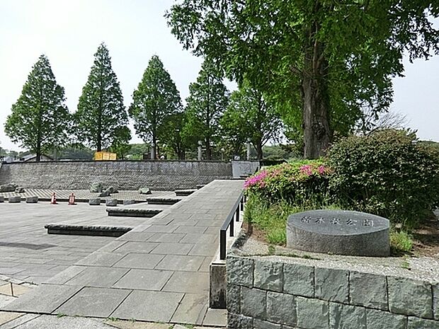 新本牧公園まで554m、横浜生まれの横浜緋桜が植えられている。春は桜、秋は紅葉を楽しむ地元住民が訪れ、夜は噴水場付近がライトアップされて美しい。