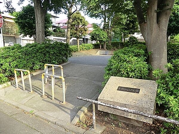 今宿しゃらの木公園まで1104m、シャラの木別名「ナツツバキ（夏椿）」は、初夏に椿によく似た白い花を咲かせます。