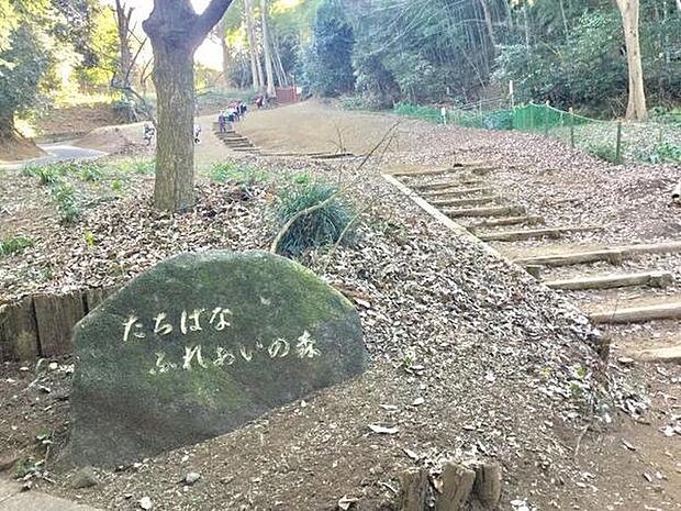 たちばなふれあいの森まで1096m