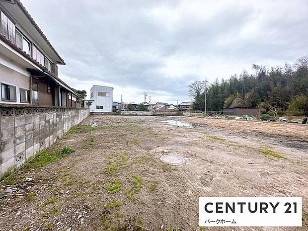 現地写真です。