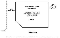 条件無