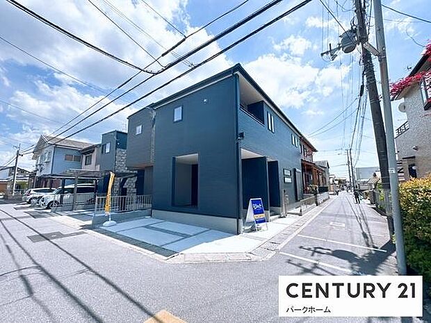 現地写真です