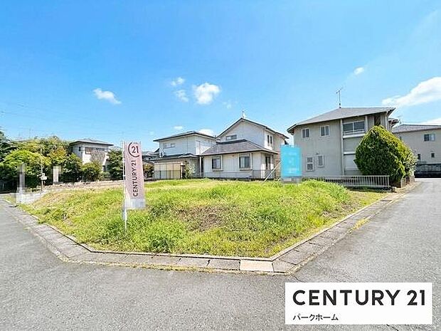 現地写真です！（2026年4月23日撮影）