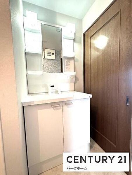 シャンプードレッサー機能付き。髪を洗ったり、少量の洗濯物を手洗いしたりと大変便利。
