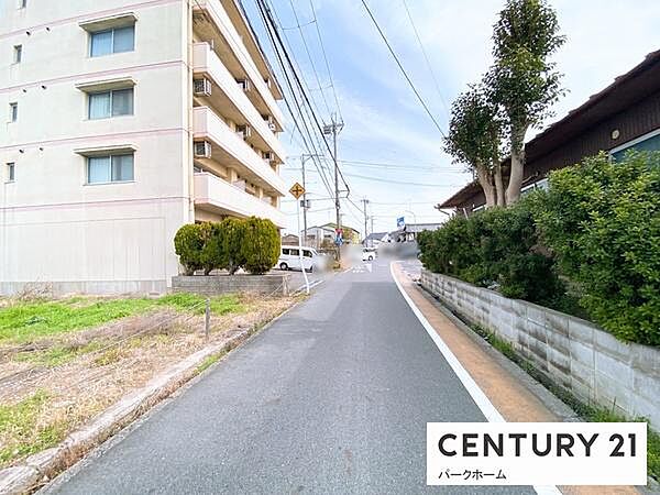 【前面道路】現地の前道道路です！（2025年3月撮影）
