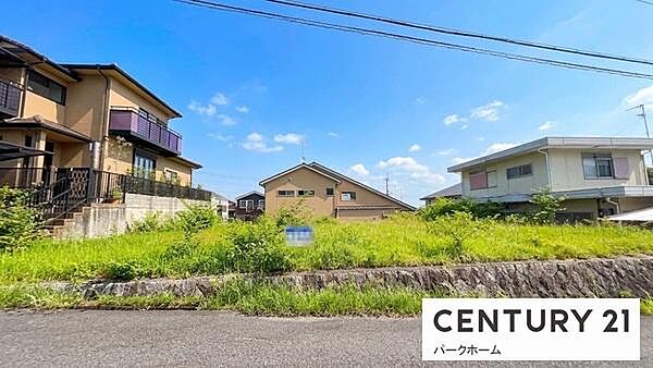 現地写真です！（2026年5月28日撮影）