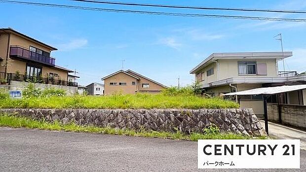 現地写真です!(2026年5月28日撮影)
