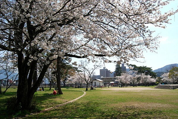 南郷公園まで380m、瀬田川側にある南郷公園は芝生広場や遊具にプール（ここだけ有料)もあり、 名神瀬田東（西）IC 車で約10分です。