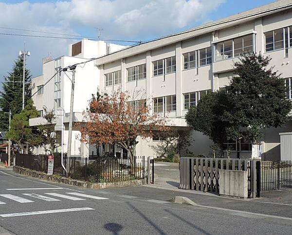 栗東市立金勝小学校まで1510m