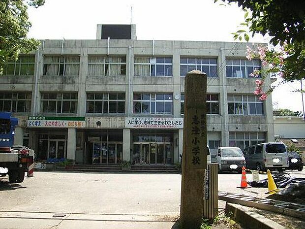草津市立志津小学校まで1190m