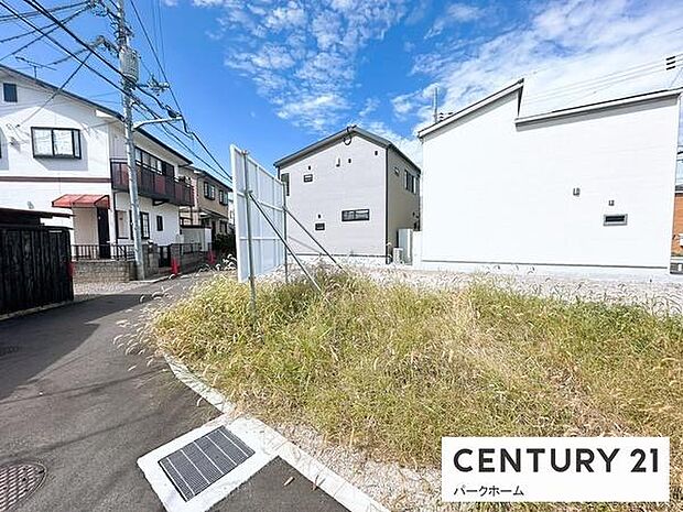 現地写真です!(2026年9月撮影)