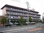 寿ハイツ 1階 築43年5ヶ月の賃貸物件