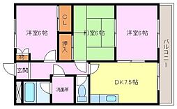 ラフォーレ松ノ下 3階/-