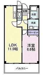 アップフィールド 1階/-