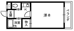 メゾンド・プラトン 1Kの間取図画像