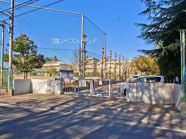 柏市立南部中学校まで1200m
