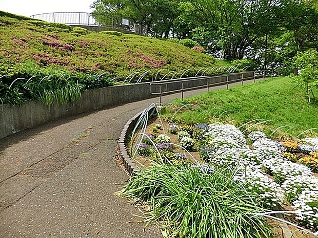 平戸みはらし公園まで559m、坂を少し上ると、散歩に寄りたくなる見晴台があります。春には地域の方々が大切に育てた花壇や桜、つつじが綺麗です