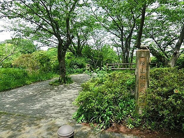 桜山中央公園まで1006m、アスレチック遊具や滑り台などがあり、公園までの坂道には植樹された桜並木が続き、春になると見事な桜のプロムナードが完成。