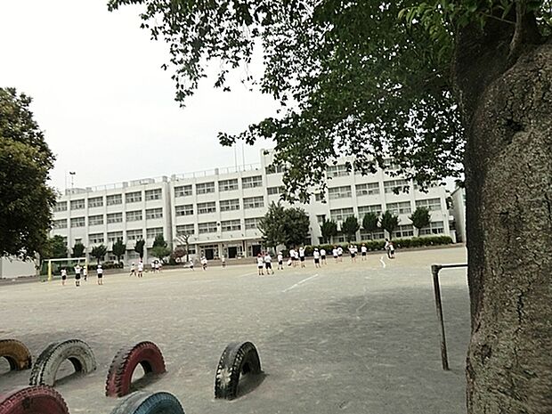 大和市立緑野小学校まで251m