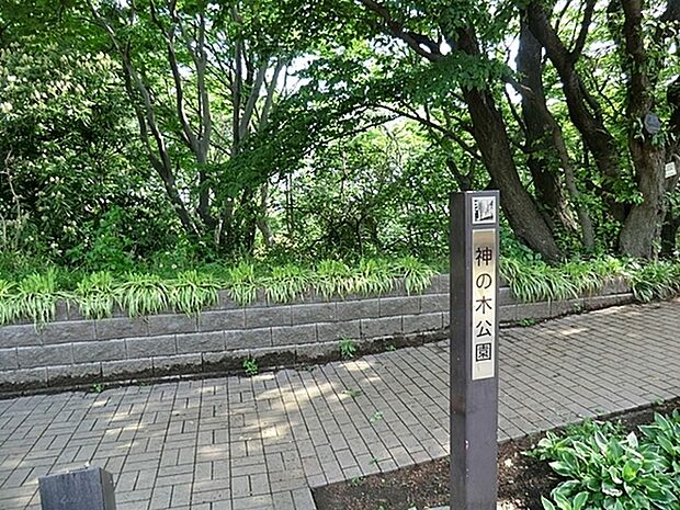 神の木公園まで815m、斜面にあるきれいな景色を臨める公園。のんびりとお散歩が楽しめます。