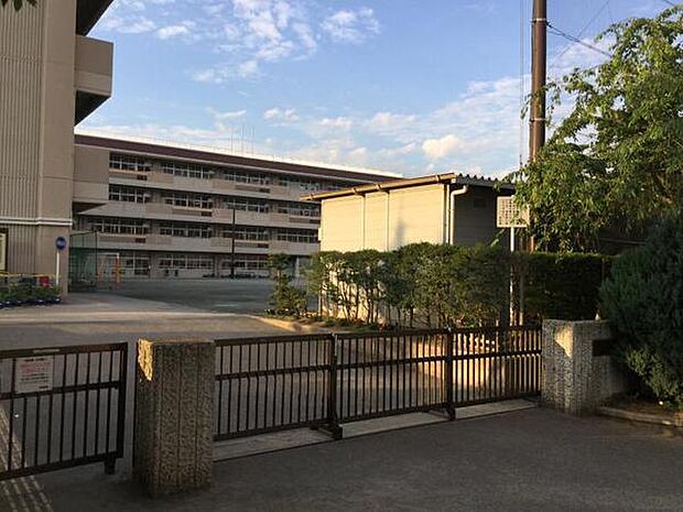 横浜市立森の台小学校まで1291m